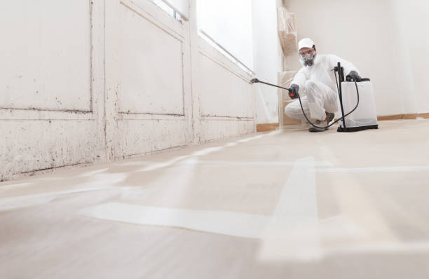 24/7 Emergency Mold Cleanup experts in Mitchells, VA