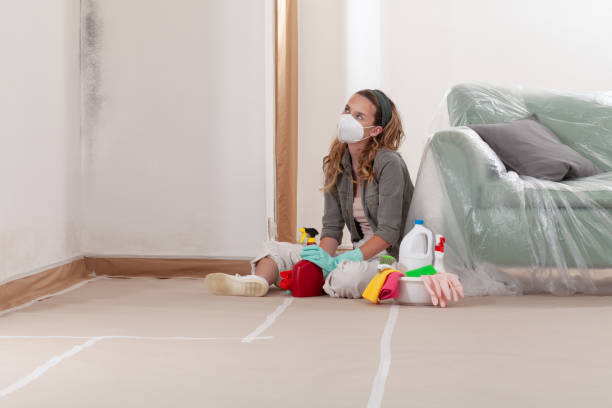 Reliable Mold Cleanup contractor in Mitchells, VA by WQB Mold Removal
